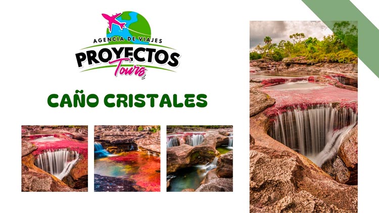 Proyectos Tours_Colombia (5) Proyectos Tours