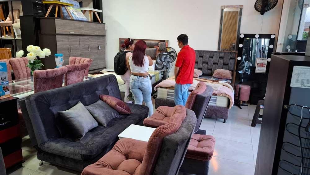 La Casa de Mis Muebles Premium