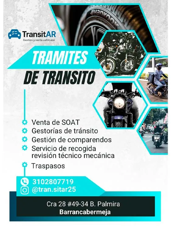TransitAR_Servicios (1)