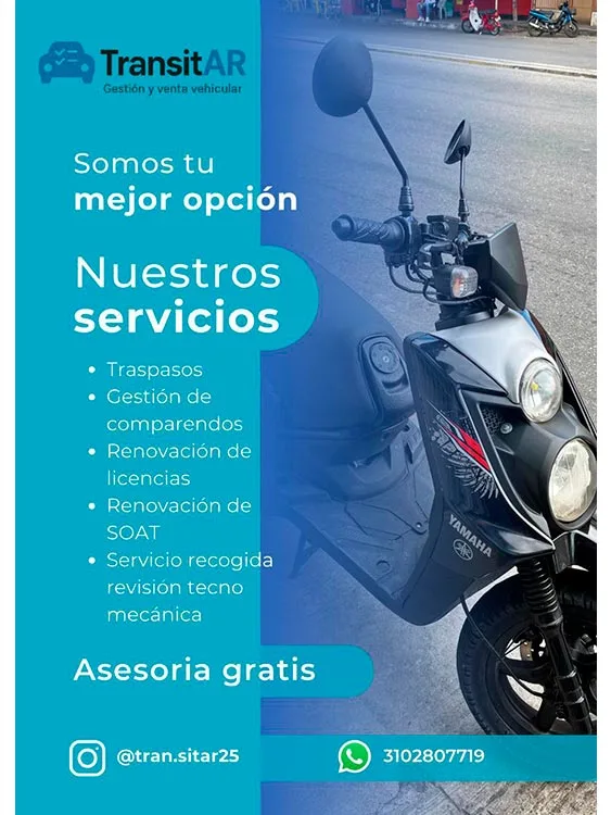 TransitAR_Servicios (5)